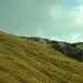 Ein paar Gämsen am Horizont.