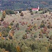 Hora Svaté Kateřiny, Herbstflur