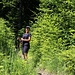 viel Grün