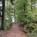 viele lauschige Gratpassagen im Wald ...