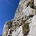 die 2. und grasige Seillänge