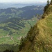 Tiefblick vom "Gipfelgrat" des [p Gross Aubrig].