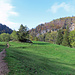 Unterwegs zum Dent de Vaulion.