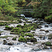 An der l'Orbe, kurz vor der Grotte de l'Orbe.
