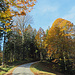 herrliche Herbststimmung 