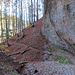 der Wanderweg zur Schlucht hinunter ist aufregend 