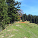 der weitere Wanderweg hinauf zur Alp Spicher