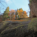 die Aussicht von der Schlucht nach oben