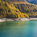 Der Herbst hält auch am Lago di Dèvero kräftig Einzug.