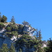 Grün auf Fels unter einem strahlend blauen Himmel