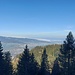 Richtung Bodensee hinaus hält sich noch der Nebel