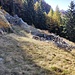 Alpe Piancra