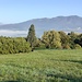 Il Campo dei Fiori osservato dal Belvedere di Azzate. 