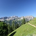 Dann kommt man aus dem Wald