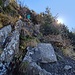 Abstieg vom Grünhorn zum Steinmandl - leichte Kraxelei
