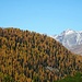 Blick ins Silvrettagebiet
