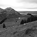 Im Aufstieg zum Gehrihore NE-Grat: Blick zurück auf Ober Geerenen, links darüber Niesen und Fromberghore, rechts Thunersee und Sigriswilergrat