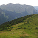 Kurz vor der Sättelalpe. Ich hatte gehörig Gas gegeben, damit mich der zuerst zaghaft, dann eben doch langsam einsetzende Regen nicht oben am Grat erwischt.