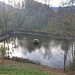 Badeweiher oberhalb Nesslau