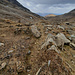 Reste de l'ancien bisse à Resti, vers 2500m. (vue arrière)