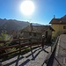 Aplecchio