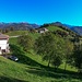 Alino