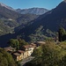 Alino