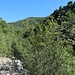 Weg von Bogdašići zur Waldkirche Sveta Vraca