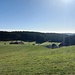 Was für ein tolles Wetter. Im Hintergrund ist eine hohe Dunstschicht zu sehen, welche leider den Blick in die Alpen (Glarnerberge und Ringelgebirge) versperrte.