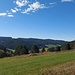 Wald und Wiesen im oberen Bregtal Richtung dem Hauptort Furtwangen zu. Jahrzehntelang haben wir den Schwarzwald als Wanderregion gemieden. "Im Schwarzwald kann man nicht wandern", sagte ich damals wegen des hohen Waldanteils mit wenig Aussicht. Für den Hochschwarzwald ist das aber eine unzutreffende Feststellung.