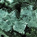 cabasite su clorite vergeletto foto 9 mm