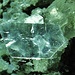 apophillite vergeletto foto 5 mm