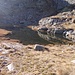 Lago del Camino