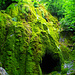 "Mooswasserfall" bei der Grotte aux Fées