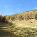 Weglos geht es im Gras aufwärts. Weiter oben ist ein Fahrweg, den ich erreichen werde.