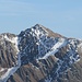 Mastaun im Zoom