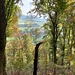 Schöner Herbstwald mit Durchblick in den Schweizer Grenzort Ramsen.