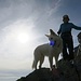 Corinne mit dem Gästehund