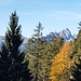 Blick zur Gehrenspitze.