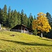 Der Herbst hat seine schöne Seiten.