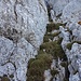 Die letzten Meter zum Gipfel.