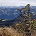 Abstiegsstimmung mit Berner Alpen.