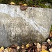 Ricordo di una tragedia