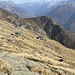 La solitudine dell'Alp Piudela