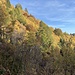 Autunno