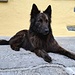 Artus in einem der Weiler im Centovalli.