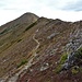 Der Weg führt oberhalb der Baumgrenze dem Hochrettelstein entgegen