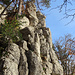 Reko im Klettergarten Santelhöchi. Hier gibt es tolle Felsen! Hier sieht man den Sektor Schlangenpfeiler.