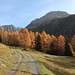 Weg zur Alp Laschadura