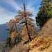 Vicino ad Arna, poco sopra